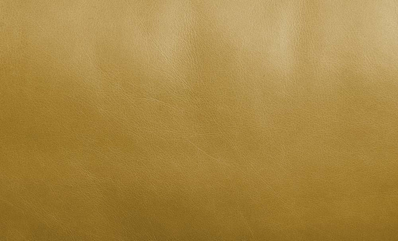 Radia - Sofa - Turmeric Top Grain Leather
